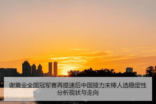 谢震业全国冠军赛再提速后中国接力末棒人选稳定性分析现状与走向